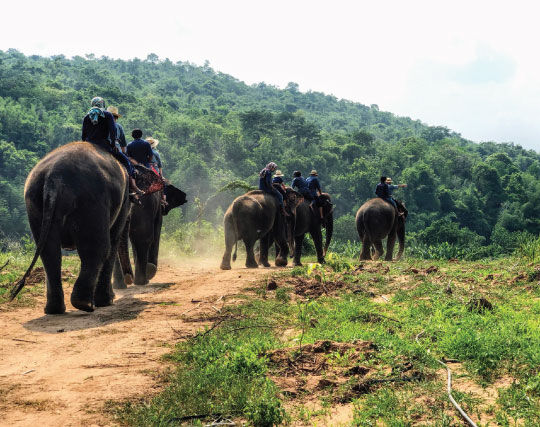 Mahouts Elephant tour in Surin Thailand