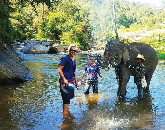 Elephant Trek in Chiang Mai Thailand holidays