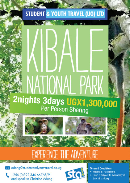 Kibale Forest National Park chimpanzee trekking Safari for Students and Youth Travel Uganda